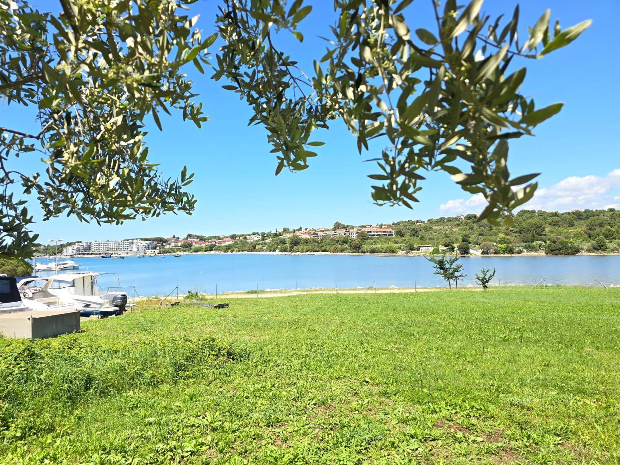 באניולה Olive Garden, Apartment With A Private Pool מראה חיצוני תמונה